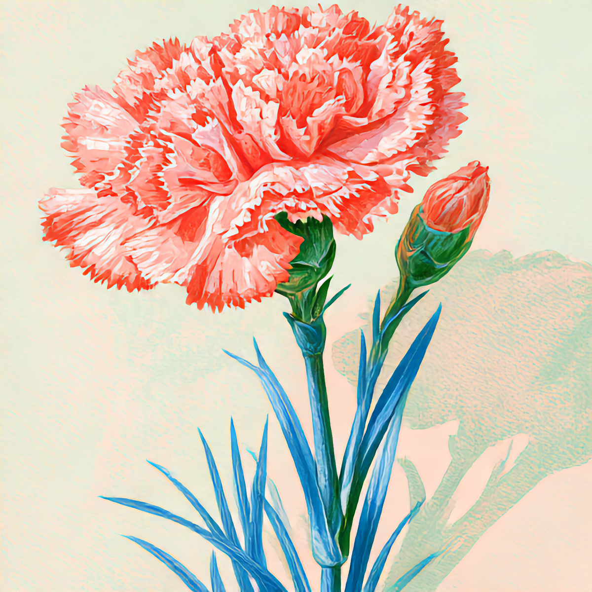 Watercolor painting of Carnation, the January birth flower