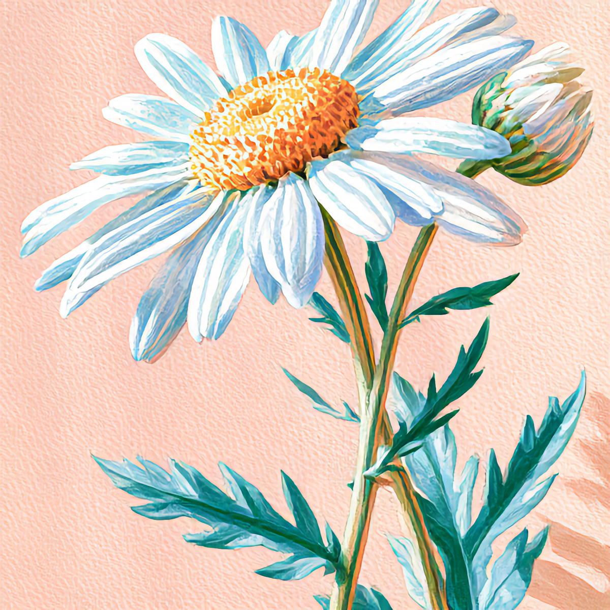 Watercolor painting of Daisy, the April birth flower