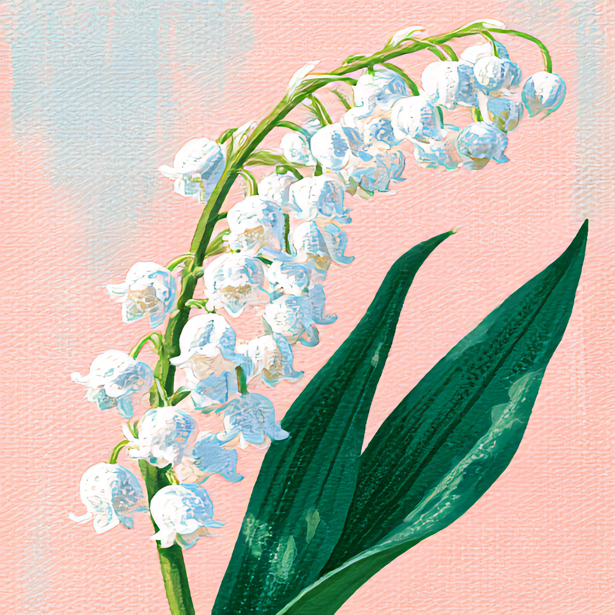 Watercolor painting of Lily of the Valley, the May birth flower