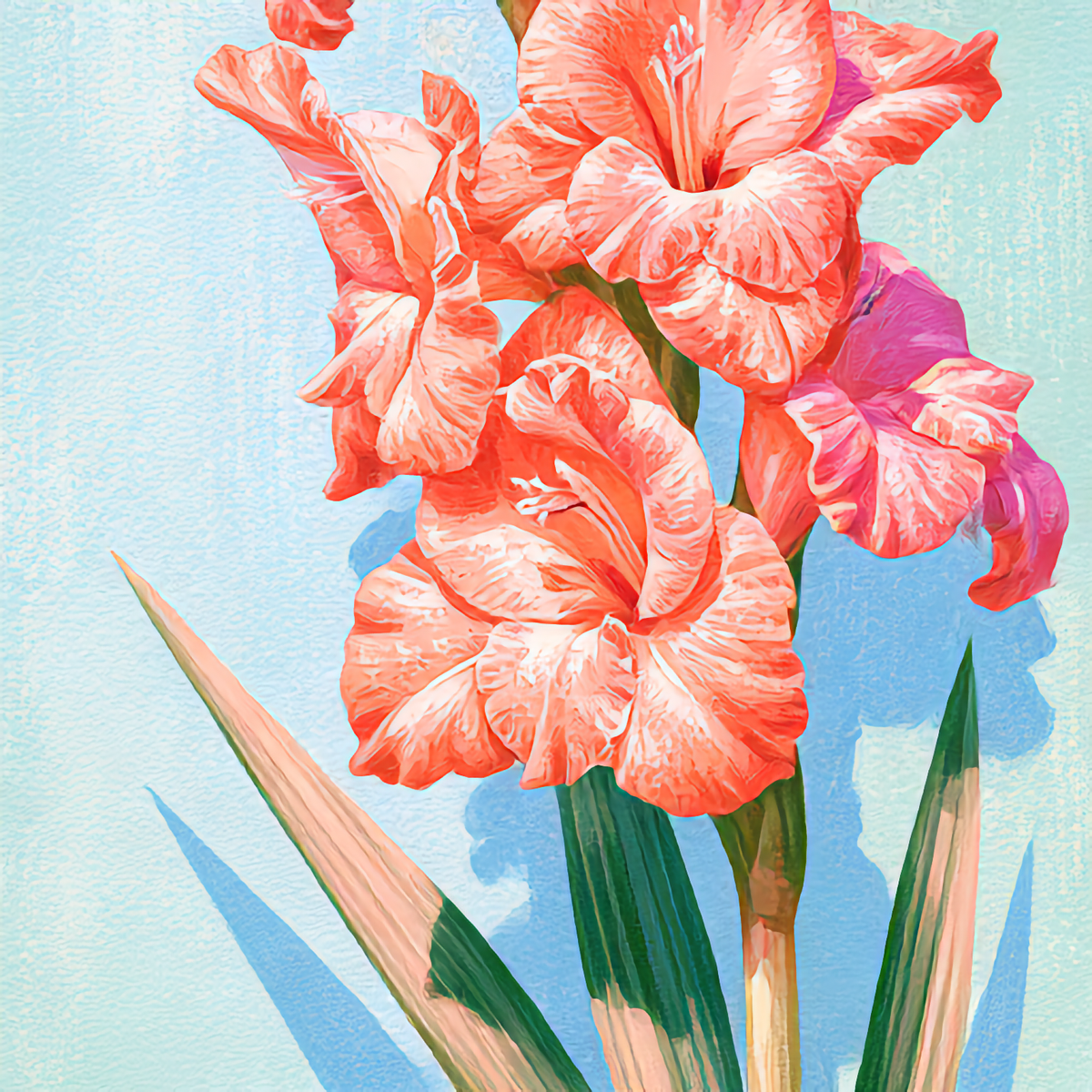 Watercolor painting of Gladiolus, the August birth flower