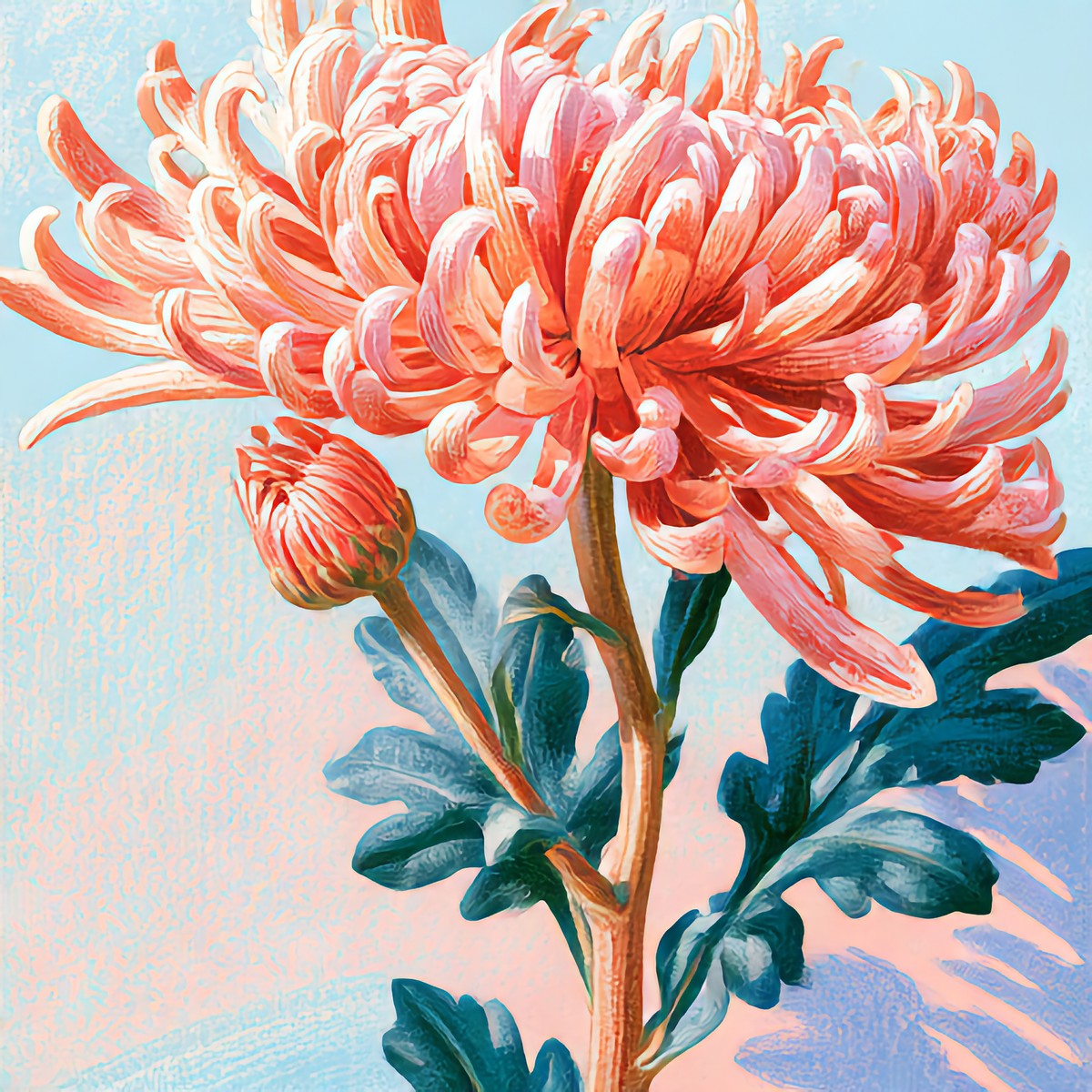 Watercolor painting of Chrysanthemum, the November birth flower